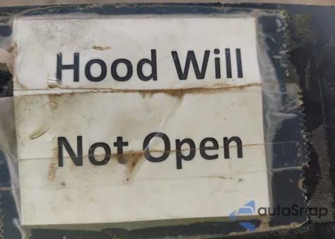 2005 Dodge Ram 1500 Slt/Laramie from USA, damaged, VIN 1D7HA18D35J602461